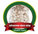 Alibag White Onion
